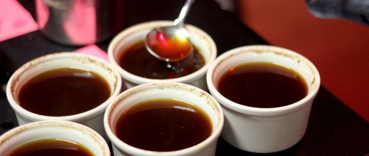 疫情全球肆虐，咖啡杯測將被終結(jié)？