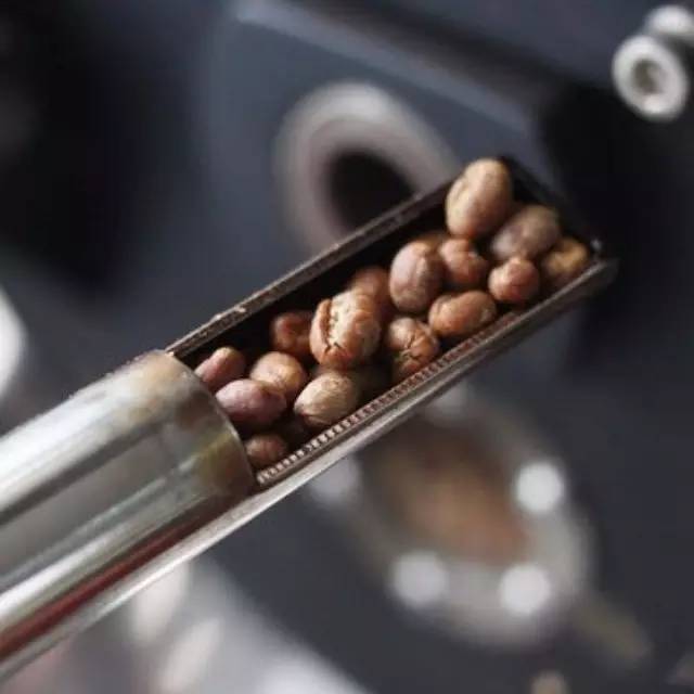 小知識：咖啡豆烘焙的流程及階段特征