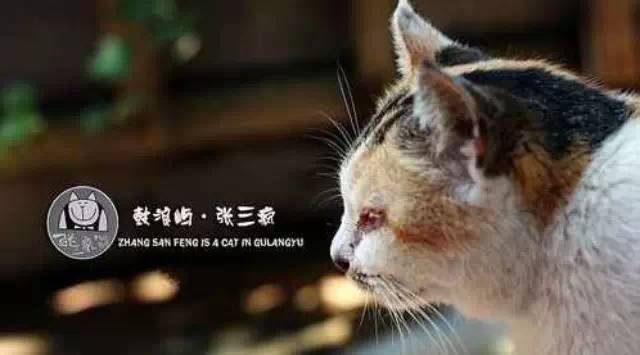 張三瘋奶茶--深挖“記憶點(diǎn)” 讓消費(fèi)者過(guò)目難忘