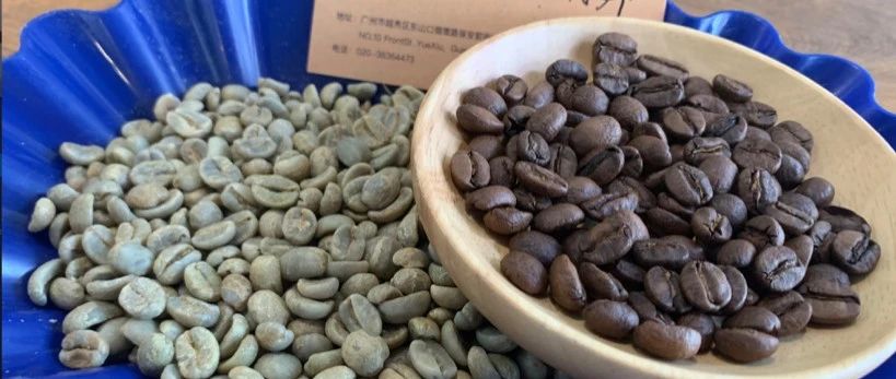 【前街尋豆手記】哥斯達(dá)黎加卡內(nèi)特莊園音樂家系列——肖邦