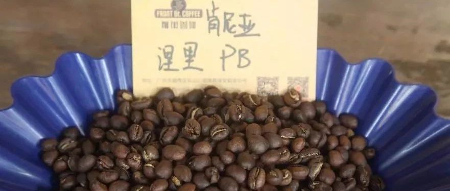 前街咖啡研習課|肯尼亞 PB小圓豆