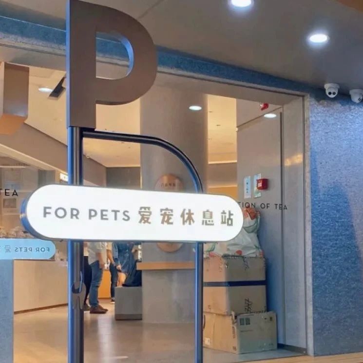 喜茶寵物友好店來了，甚至能給貓狗相親？