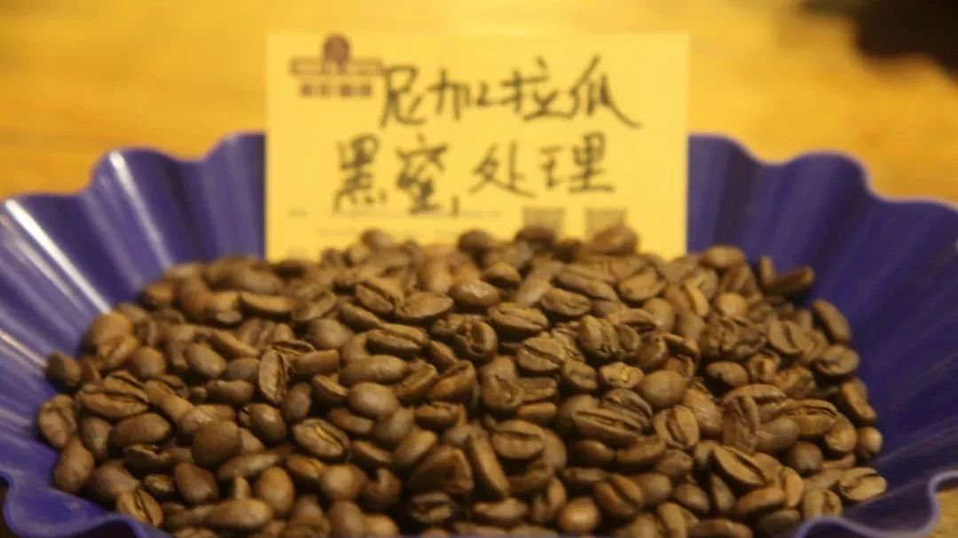 【尼加拉瓜  黑蜜處理】專題報(bào)告