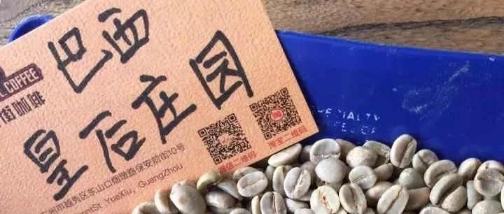世界咖啡巡禮|第二站：巨人巴西
