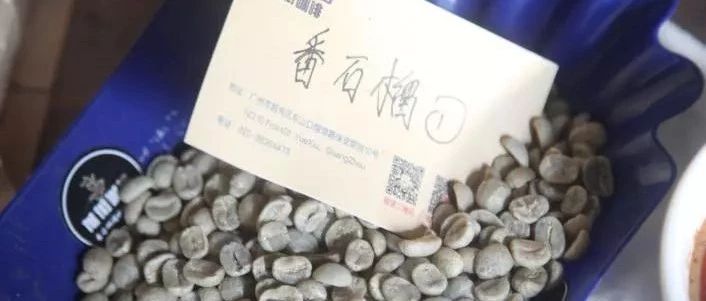 前街咖啡故事|背井離鄉(xiāng)的SL