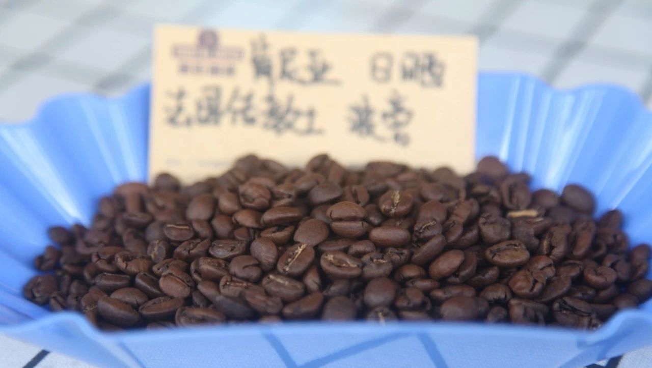 【肯尼亞 哈尼亞莊園 法國傳教士波旁 日曬】專題報告