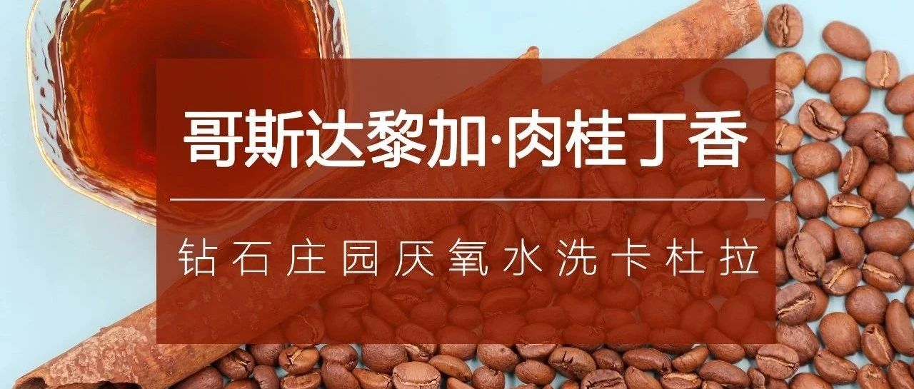 又神仙寶豆上線， 折限時(shí)嘗鮮特惠！