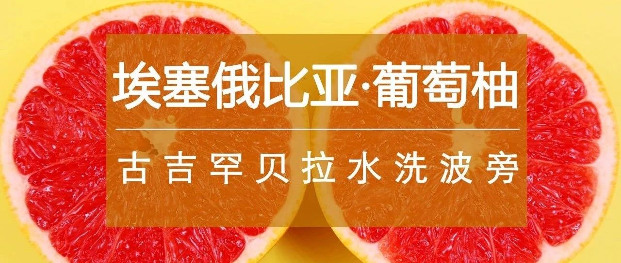 又一爆款豆上線>第包半價，咖啡控都入手了！