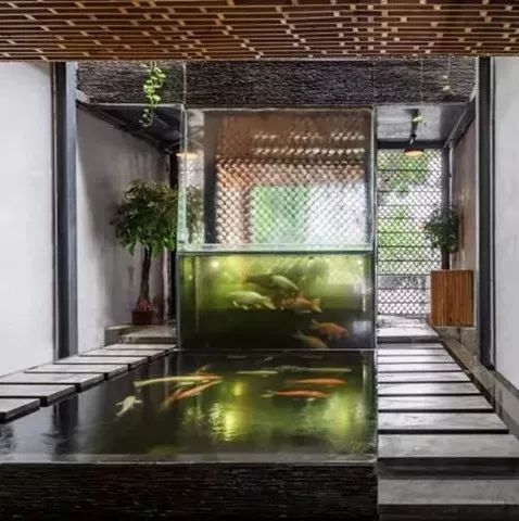 在咖啡館里和“錦鯉”嬉戲，這是個(gè)能帶來“好運(yùn)”的設(shè)計(jì)