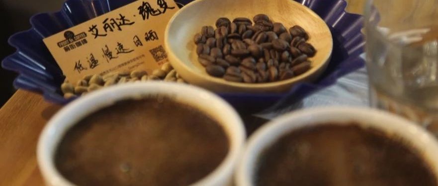 來(lái)自BOP“標(biāo)王”得主莊園——艾麗達(dá)莊園的厭氧發(fā)酵低溫慢速日曬瑰夏