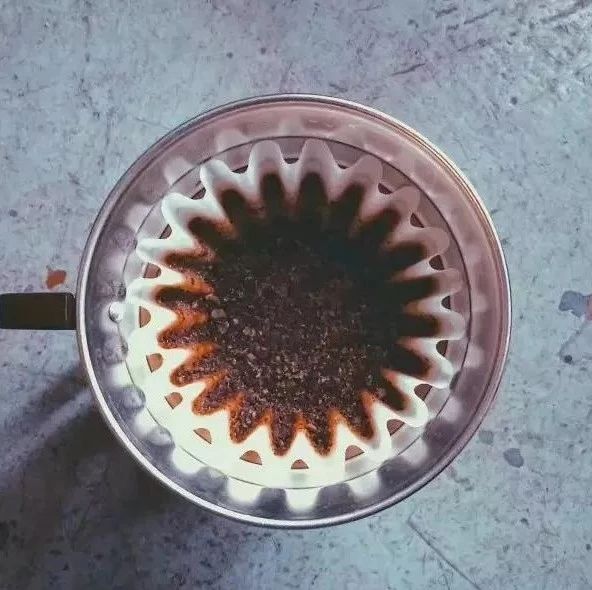 手沖咖啡濾杯 | Kalita Wave Dripper 蛋糕杯怎么用？