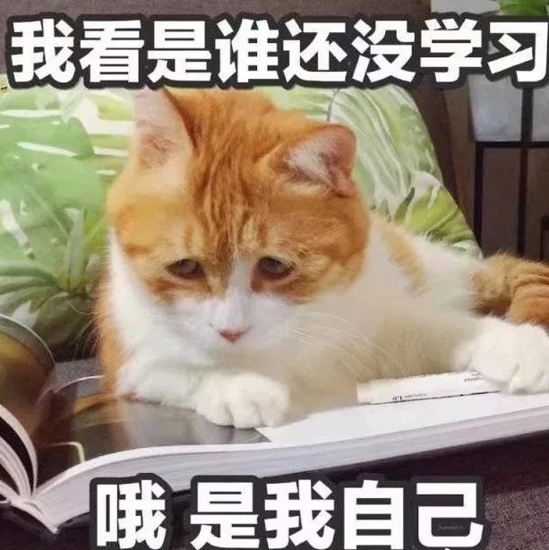 拉花終極感悟：拉花虐我千萬(wàn)遍，我待拉花入初戀！
