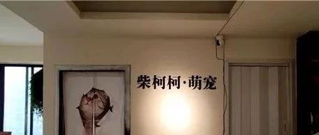 咖啡館養(yǎng)國寶動(dòng)物招攬顧客引人身攻擊，官方回應(yīng)：涉嫌違規(guī)展示！