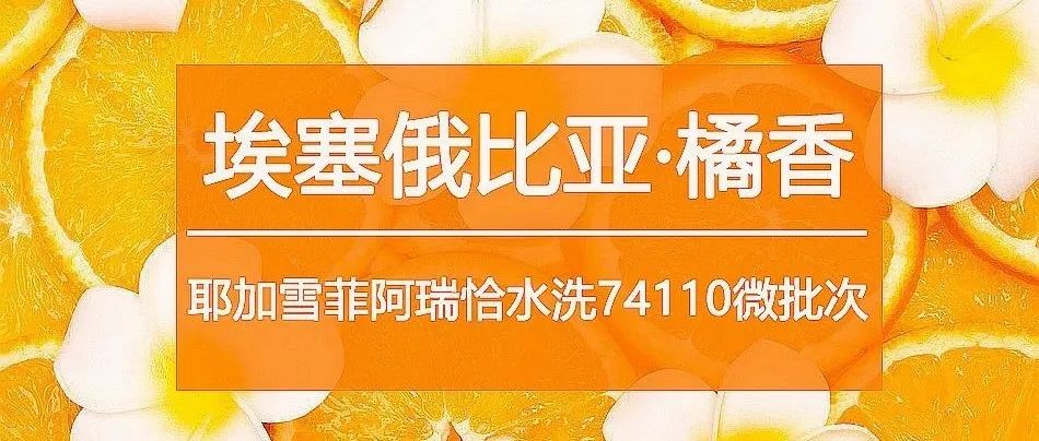 月壓軸好豆 . 折搶購(gòu)>手沖咖啡控看就入手！