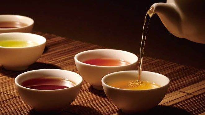 中國茶品鑒興趣課程 | 一棵茶樹的故事