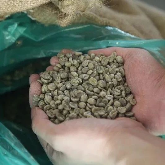 如何購(gòu)買上等生豆？咖啡粉的新鮮度怎么看？