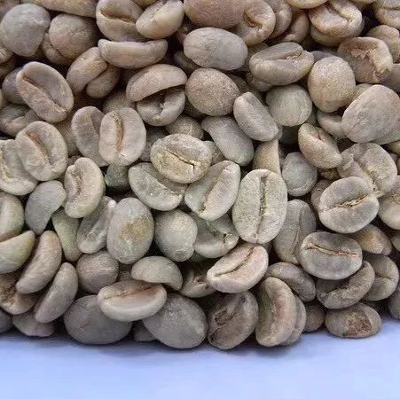 咖啡知識 |   如何區(qū)分硬豆＆軟豆？