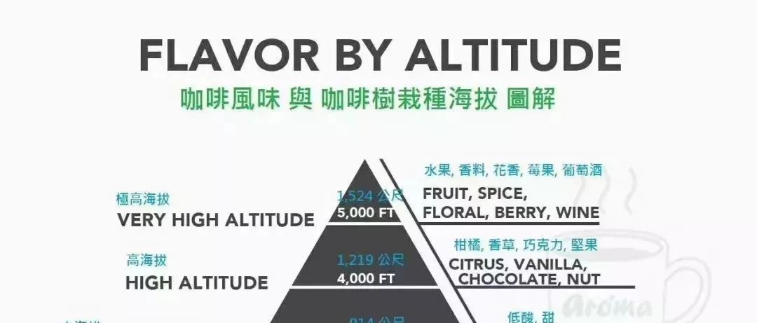 干貨 | 咖啡從采摘到制作的完整歷程！