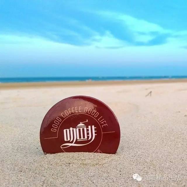 阿啡周末調(diào)皮了，跑去翡翠灣看羊駝，畫面太美不敢獨(dú)享……