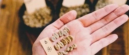 挑選最適合自己的處理法！后處理法對(duì)咖啡風(fēng)味的影響