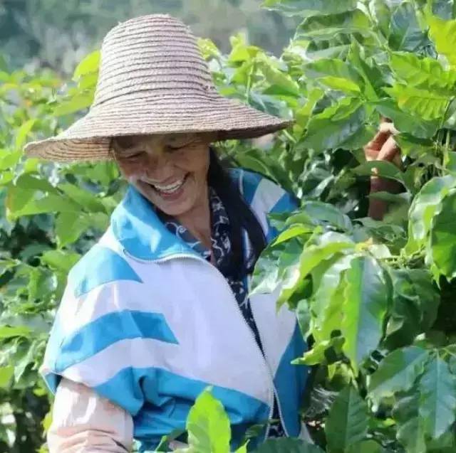 咖農(nóng)面孔：帶你進(jìn)入真實(shí)震撼的啡人世界！