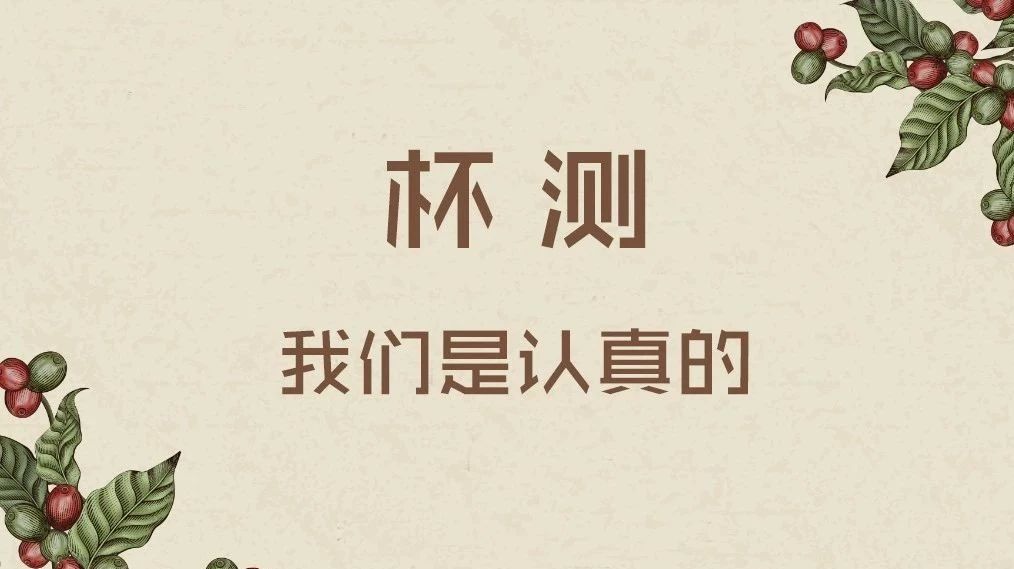 杯測(cè)，我們是認(rèn)真的-GCEF大中華區(qū)咖啡產(chǎn)業(yè)精英論壇