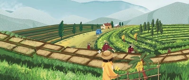 超干貨 |  咖啡年度總結(jié)！
