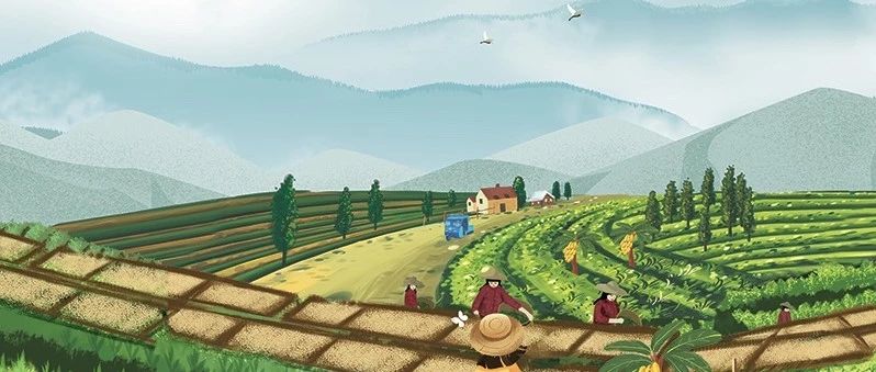節(jié)日完了，活動又開始了。紅櫻桃 折，口糧豆 .