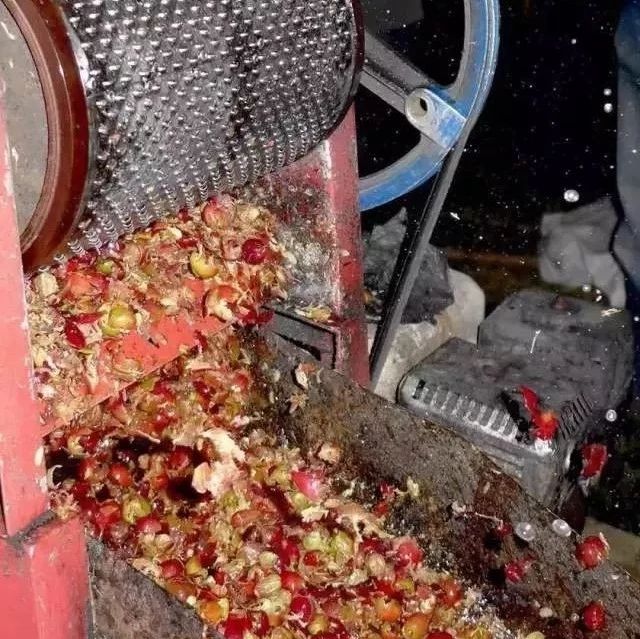 咖啡特殊處理法 |  咖啡濕刨法的霉菌可以帶來(lái)好風(fēng)味？！