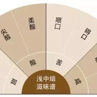 咖啡知識 | 淺中烘焙四大風(fēng)味譜詳解！