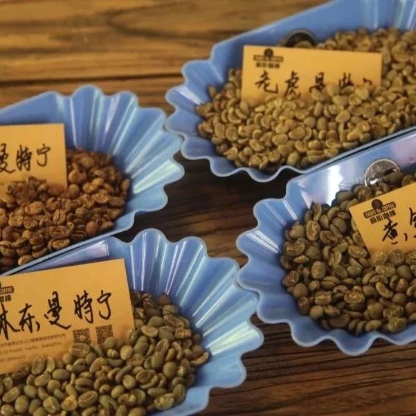 曼特寧|林曼/黃曼/虎曼/陳曼差別在哪？