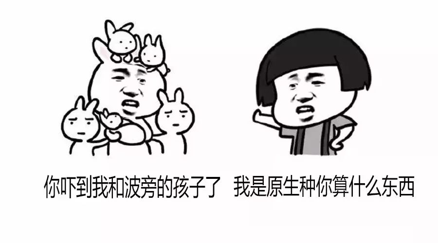 老司機(jī)在此，給你科普比人類還復(fù)雜的咖啡樹品種