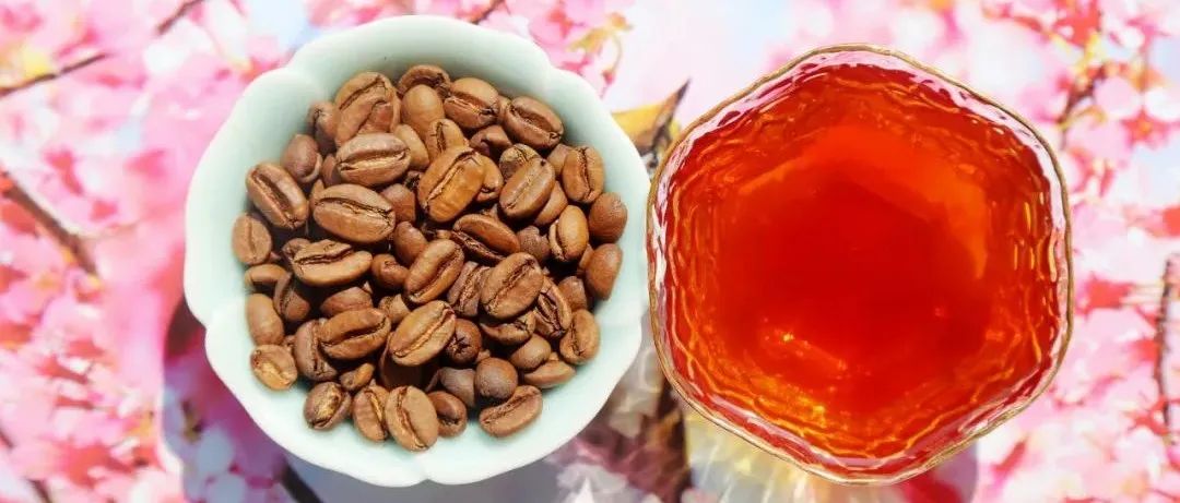 瑰夏為何越來(lái)越火？(有福利)