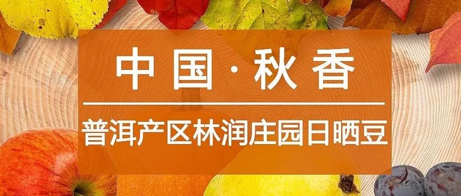 秋天喝啥咖啡最香？(有福利)