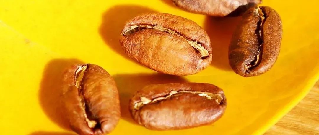BOP標(biāo)王出爐>美金磅瑰夏生豆！