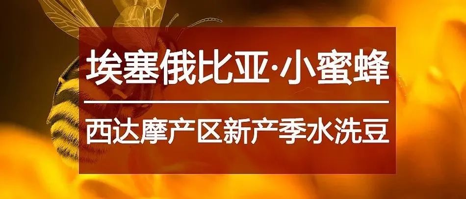西達(dá)摩超甜豆  元搶購(gòu)>速度入手！