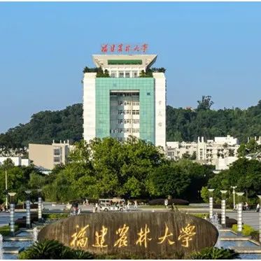 幫利大動(dòng)作 全面推進(jìn)茶飲人才、教育鏈……