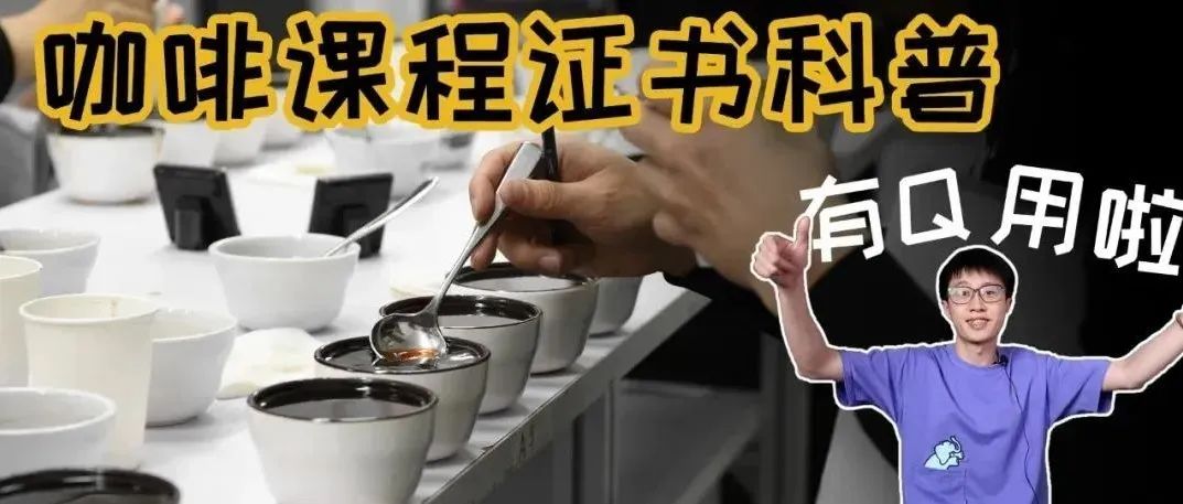 咖啡證書有用嗎？培訓(xùn)課程怎么選？一篇幫你看懂