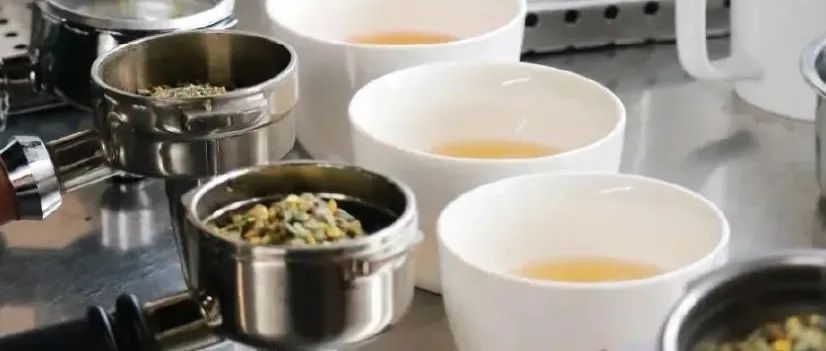 茶顏、喜茶、Tea’Stone都用了！這種泡茶方式又引起了行業(yè)注意
