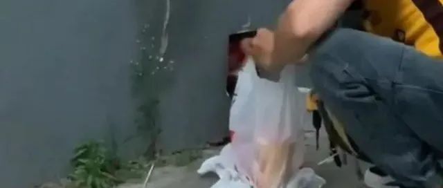 外賣奶茶收貨地址竟是狗洞！網(wǎng)友：難為外賣員找到了