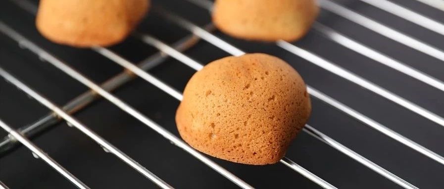 秋冬栗子季，這款甜點零售、做伴手禮都不愁賣…