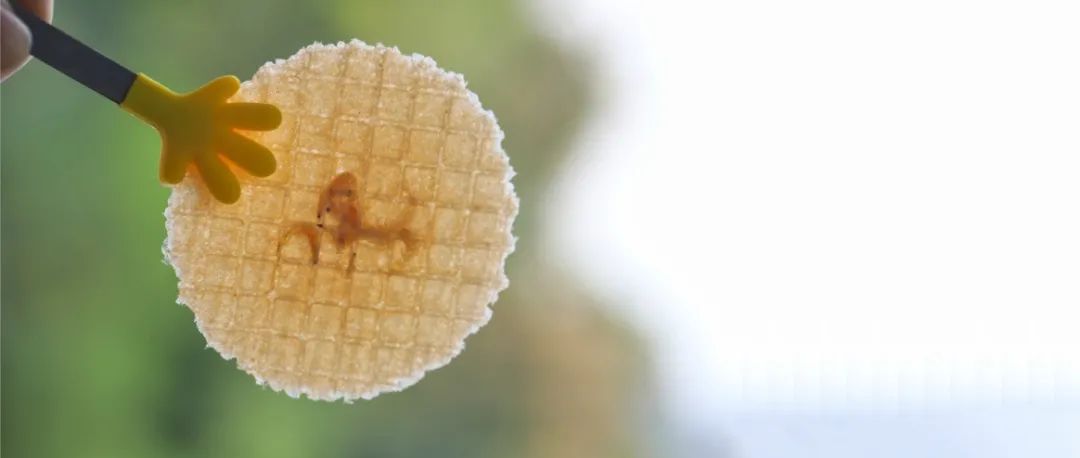 大軒輔食｜這不就是你們等了半年的——不止蝦片？