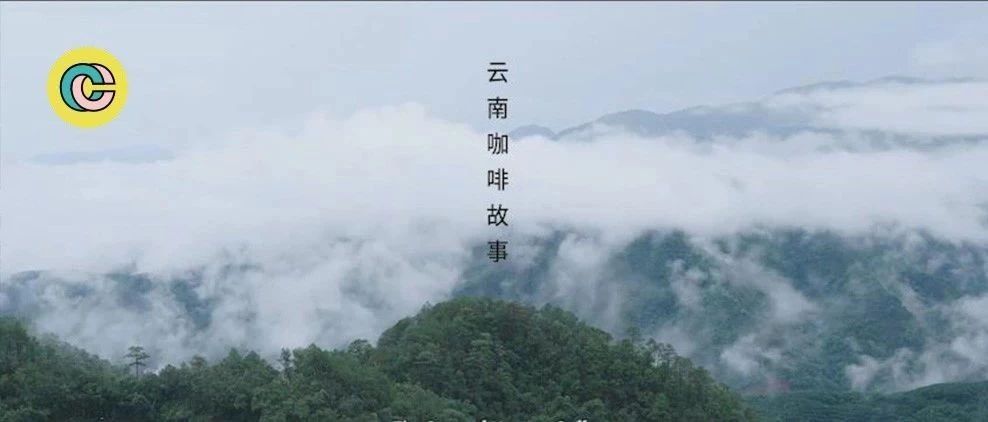 這樣的咖啡紀(jì)錄片，必然感動(dòng)無(wú)數(shù)中國(guó)人