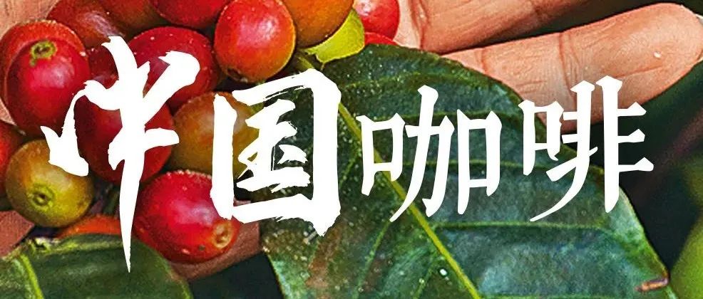 咖啡“入籍”中國，經(jīng)歷了什么？